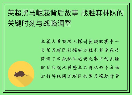 英超黑马崛起背后故事 战胜森林队的关键时刻与战略调整 英超黑马崛起背后故事 战胜森林队的关键时刻与战略调整
