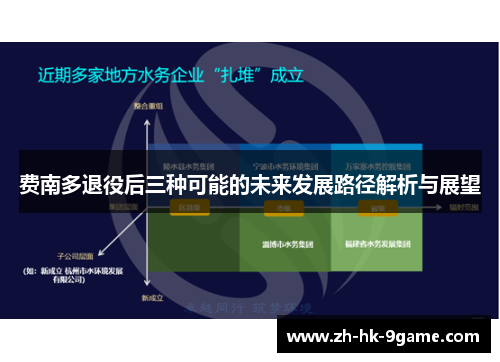 费南多退役后三种可能的未来发展路径解析与展望 费南多退役后三种可能的未来发展路径解析与展望