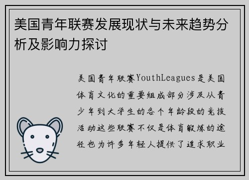 美国青年联赛发展现状与未来趋势分析及影响力探讨