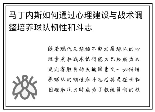 马丁内斯如何通过心理建设与战术调整培养球队韧性和斗志 马丁内斯如何通过心理建设与战术调整培养球队韧性和斗志