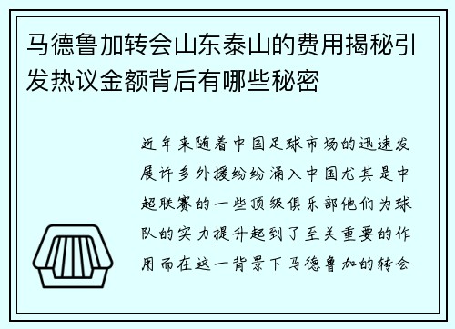 马德鲁加转会山东泰山的费用揭秘引发热议金额背后有哪些秘密