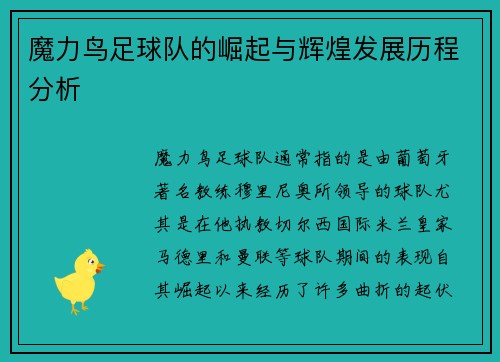 魔力鸟足球队的崛起与辉煌发展历程分析